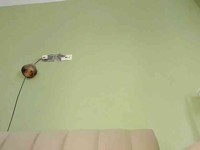 Mspurrfect webcam