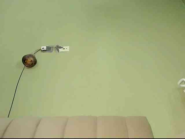 Mspurrfect webcam