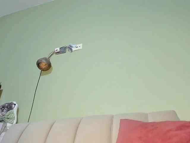 Mspurrfect webcam