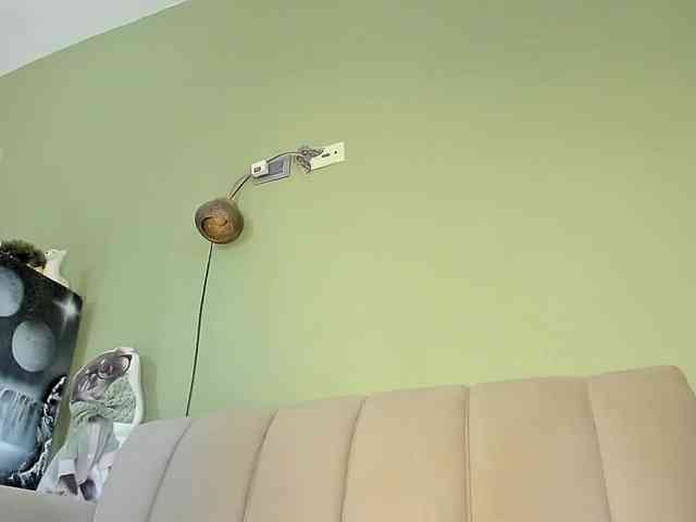 Mspurrfect webcam