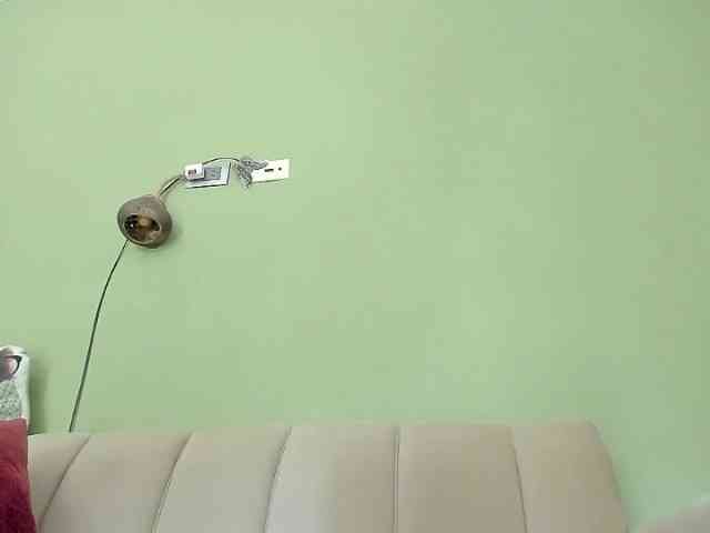 Mspurrfect webcam