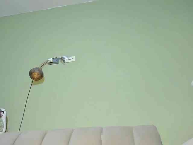 Mspurrfect webcam