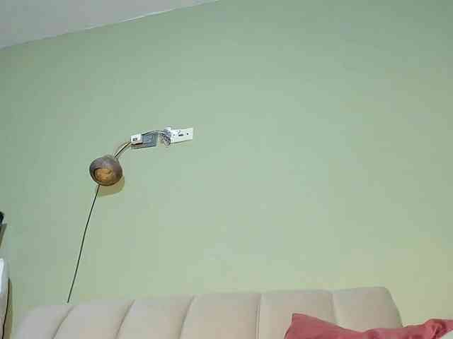 Mspurrfect webcam