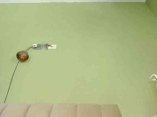 Mspurrfect webcam