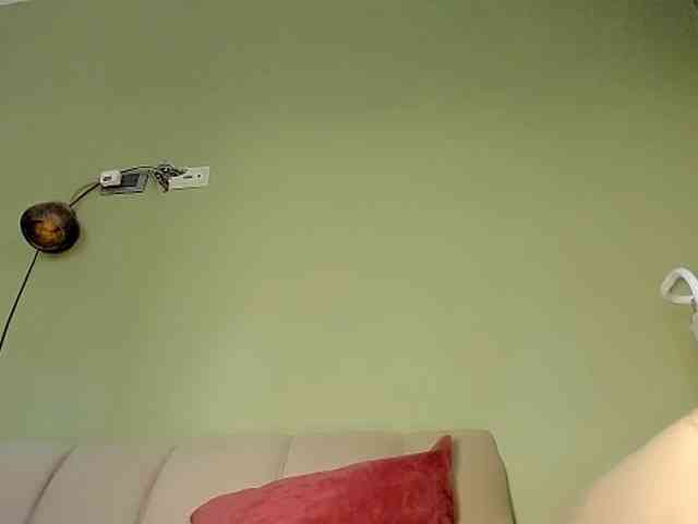 Mspurrfect webcam