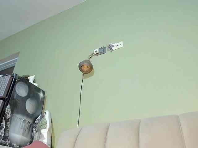 Mspurrfect webcam