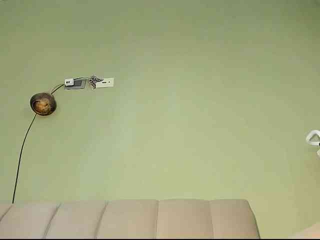 Mspurrfect webcam