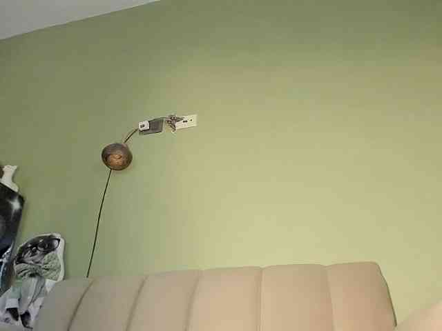 Mspurrfect webcam