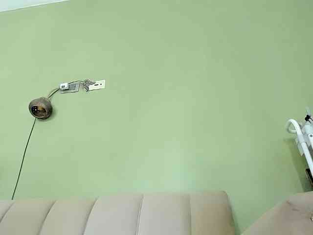 Mspurrfect webcam