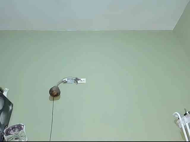 Mspurrfect webcam