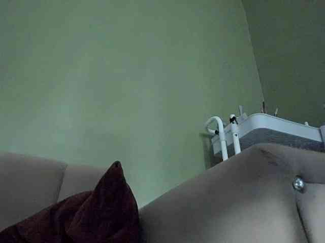 Mspurrfect webcam