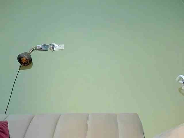 Mspurrfect webcam