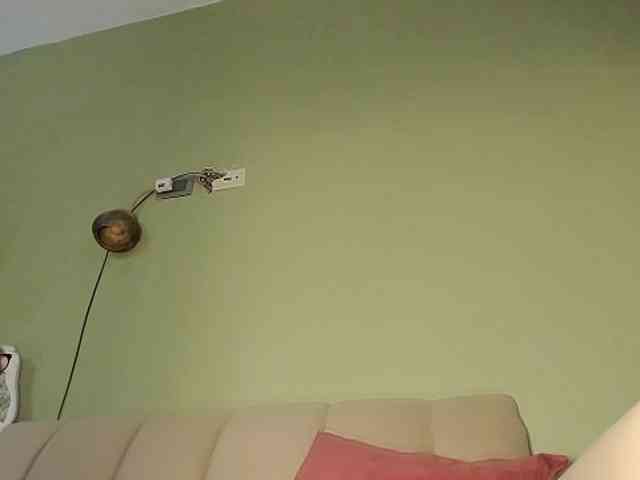 Mspurrfect webcam