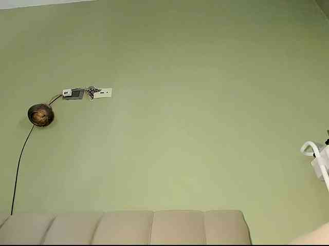 Mspurrfect webcam
