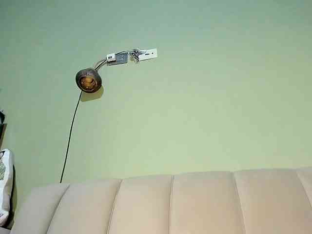 Mspurrfect webcam