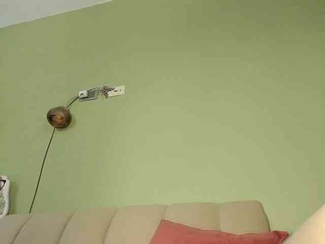 Mspurrfect webcam