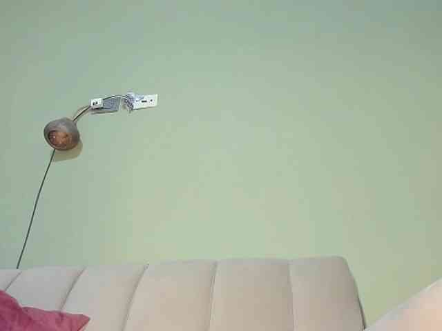 Mspurrfect webcam