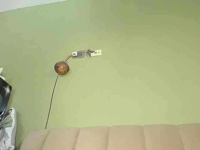 Mspurrfect webcam