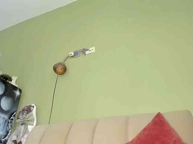 Mspurrfect webcam