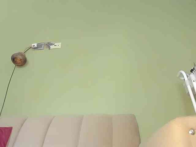 Mspurrfect webcam