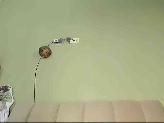 Mspurrfect webcam