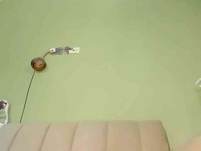 Mspurrfect webcam