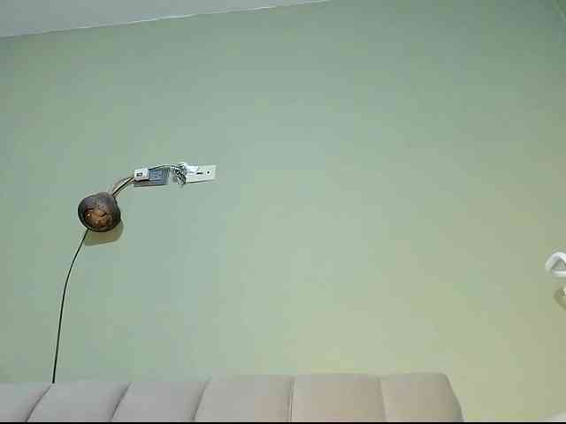 Mspurrfect webcam