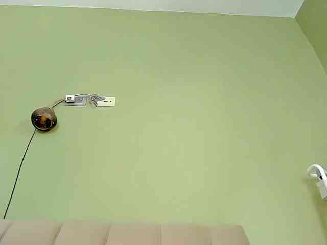 Mspurrfect webcam