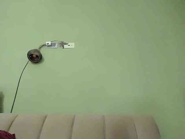 Mspurrfect webcam