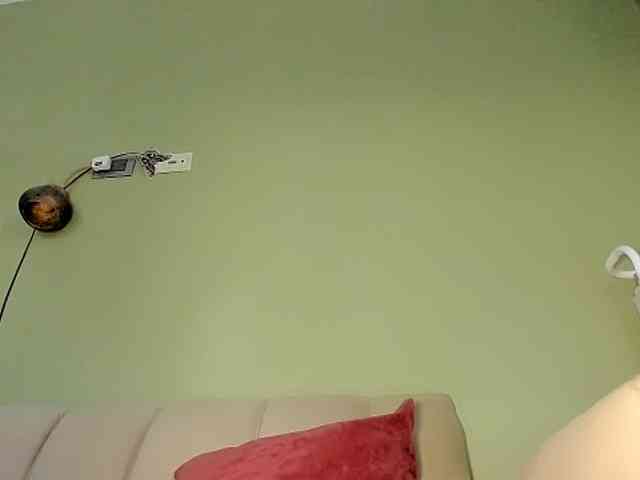 Mspurrfect webcam