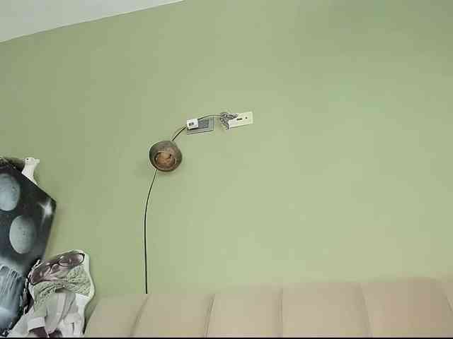 Mspurrfect webcam