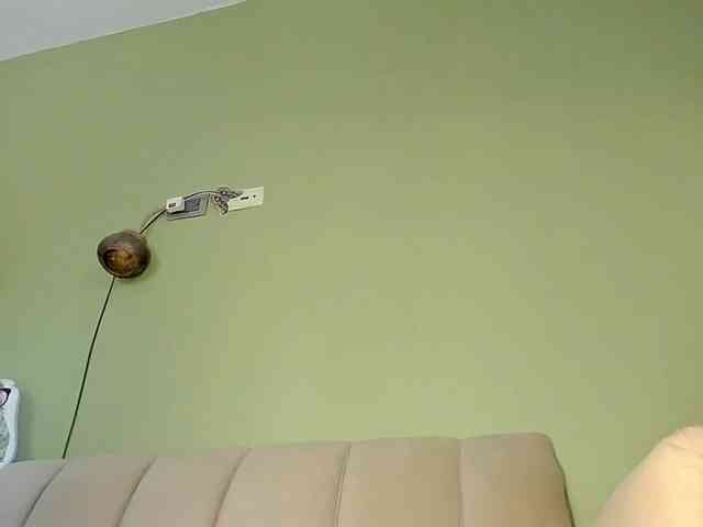 Mspurrfect webcam