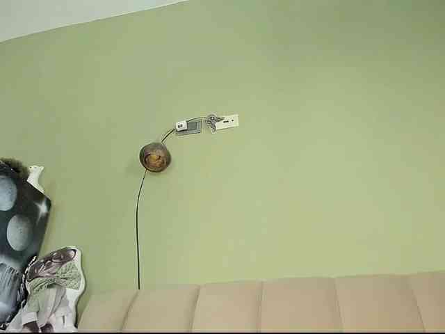 Mspurrfect webcam