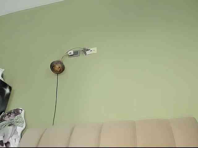 Mspurrfect webcam