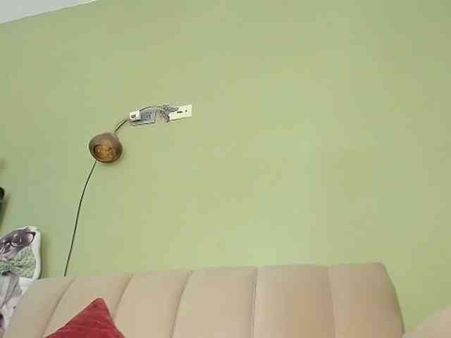 Mspurrfect webcam