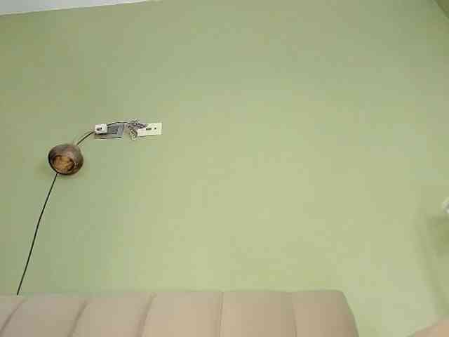Mspurrfect webcam
