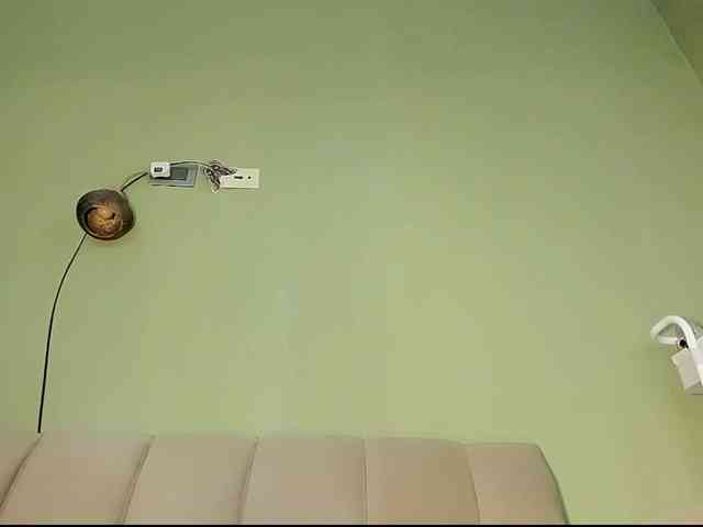 Mspurrfect webcam