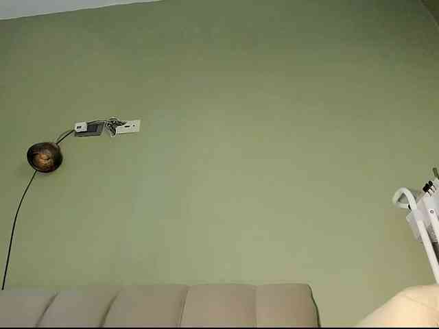 Mspurrfect webcam
