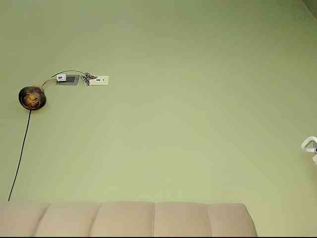 Mspurrfect webcam