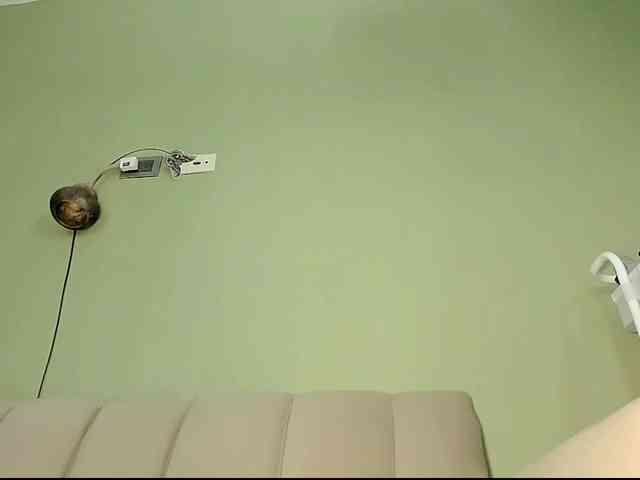 Mspurrfect webcam