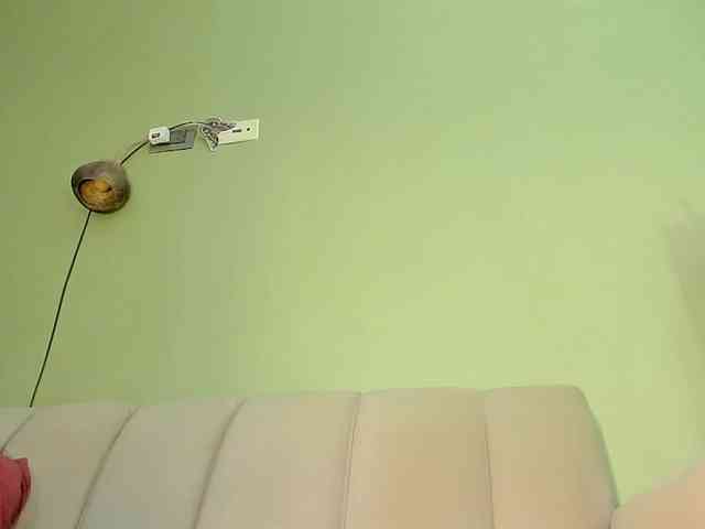 Mspurrfect webcam