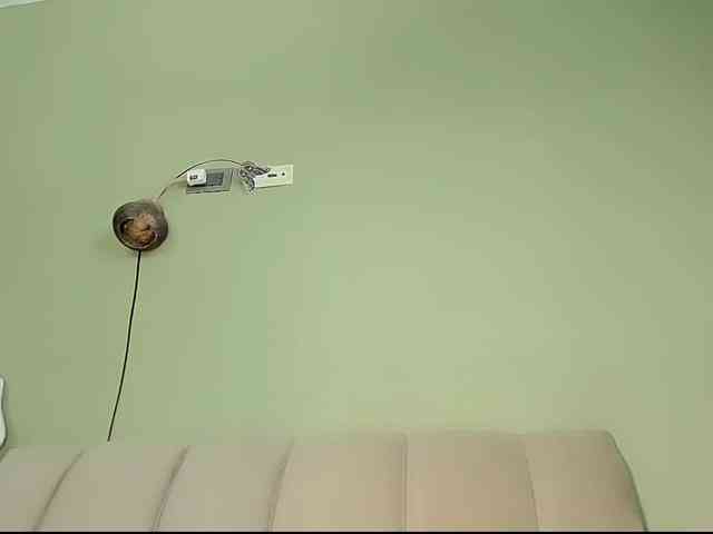 Mspurrfect webcam