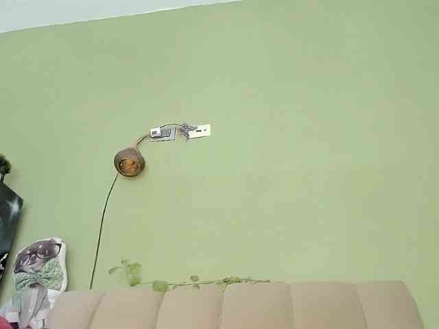 Mspurrfect webcam