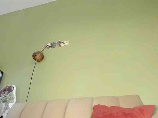 Mspurrfect webcam