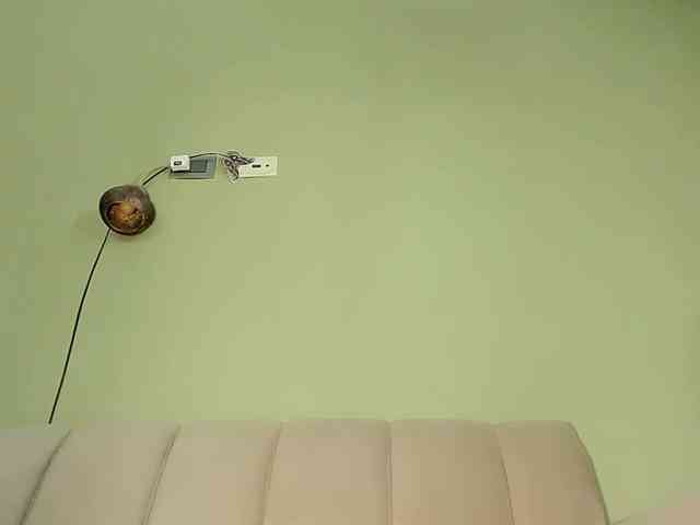Mspurrfect webcam