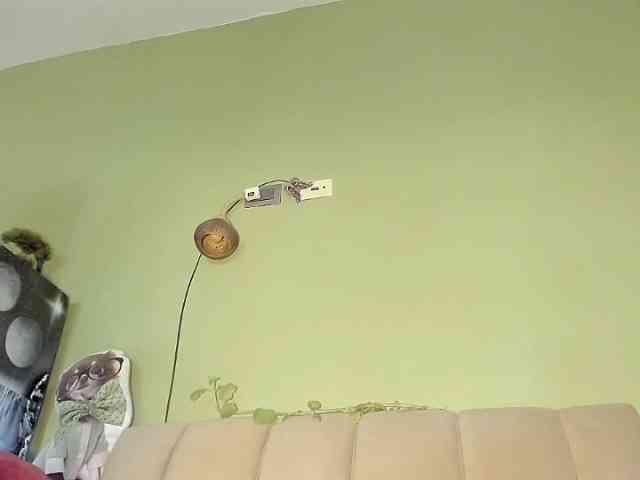 Mspurrfect webcam