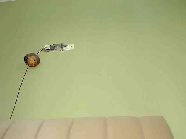 Mspurrfect webcam