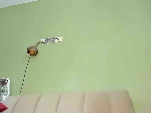 Mspurrfect webcam
