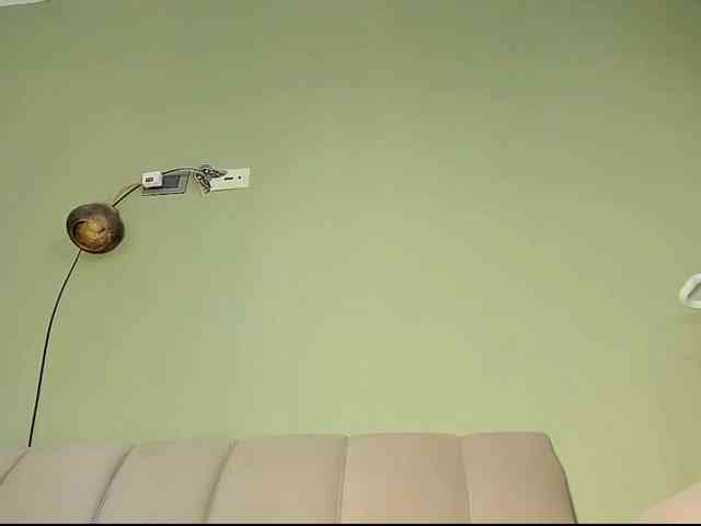 Mspurrfect webcam