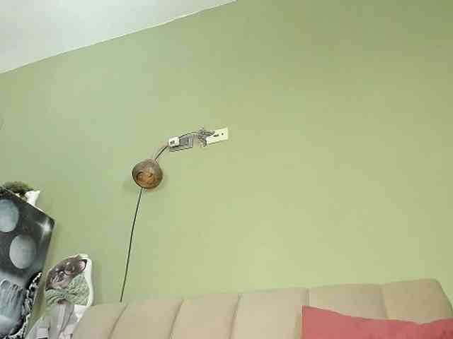 Mspurrfect webcam